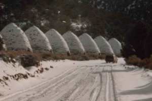 charcoal-kilns-w-truck-in-s