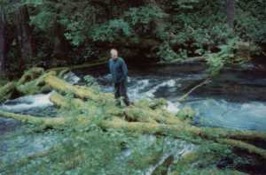 Olalliebery-campground