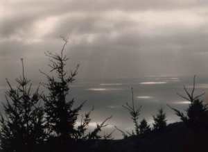 sun spots at Limantour