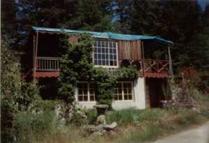 drivethru-treehouse-1995