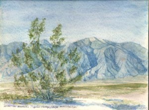 After the Meteors reduced