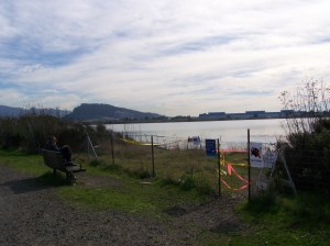 after the spill-high tide 11.24.07 011