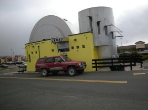 oregon coast 2009 024